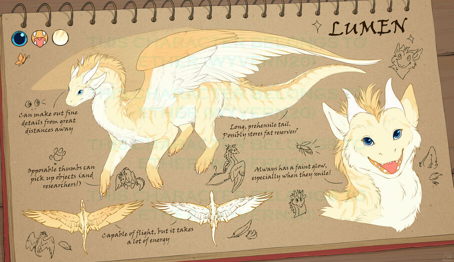 Reference sheet